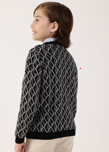 Boys Pullover Winter Wear Sweaters